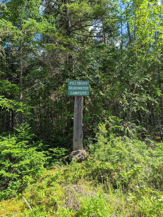 Pillsbury Deadwater Campsite Picture 1