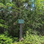 Pillsbury Deadwater Campsite