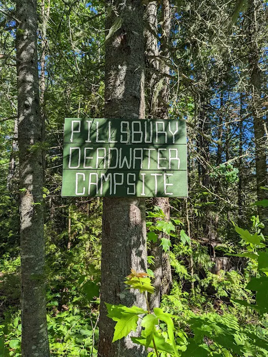 Pillsbury Deadwater Campsite Picture 5