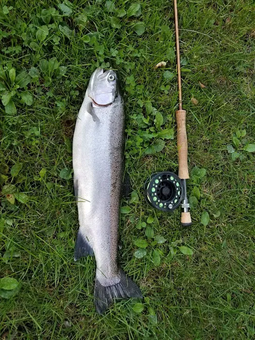 Cold Creek Trout Camp Picture 10