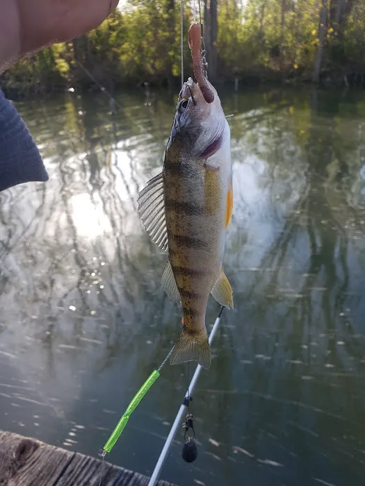 Cold Creek Trout Camp Picture 1