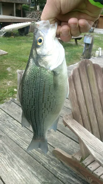 Cold Creek Trout Camp Picture 6