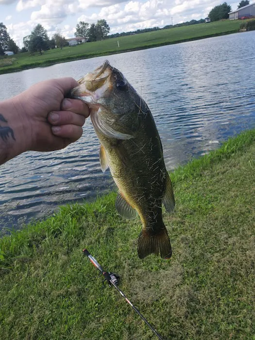 Clinton Lake Camping Picture 8