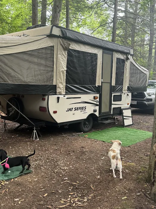 Wilderness Campground Picture 5