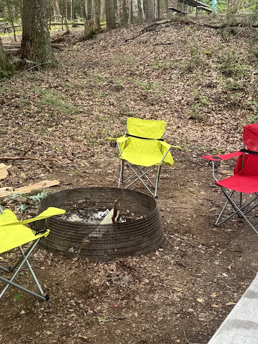 Wilderness Campground Picture 3