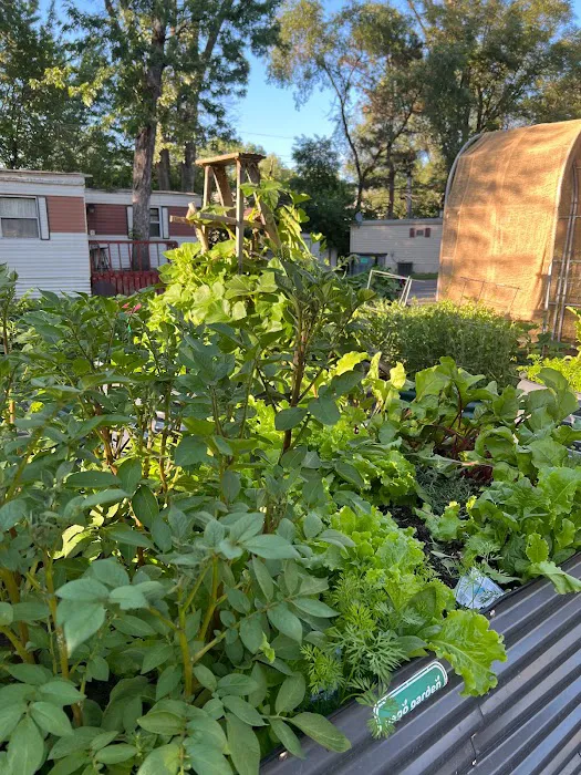 Woodlawn Terrace Cooperative Picture 1