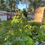 Woodlawn Terrace Cooperative