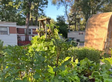 Woodlawn Terrace Cooperative
