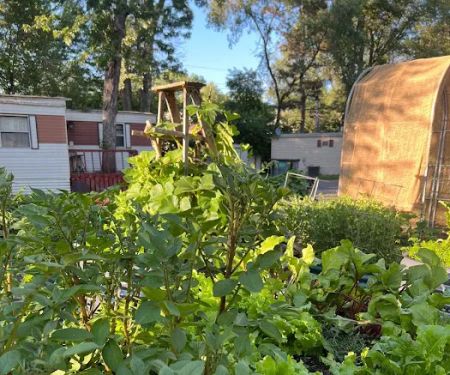 Woodlawn Terrace Cooperative