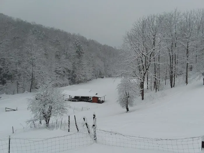 Tawney Farm, LLC Picture 3
