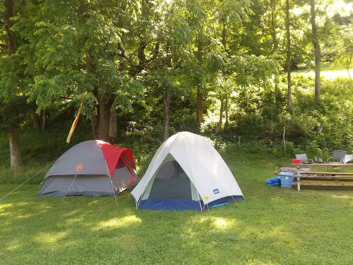 Tawney Farm, LLC Picture 4