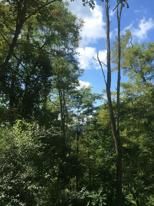 Gauley River Wild & Woolly Primitive Campground Picture 8
