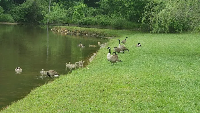 Beechnut Family Campground Picture 9