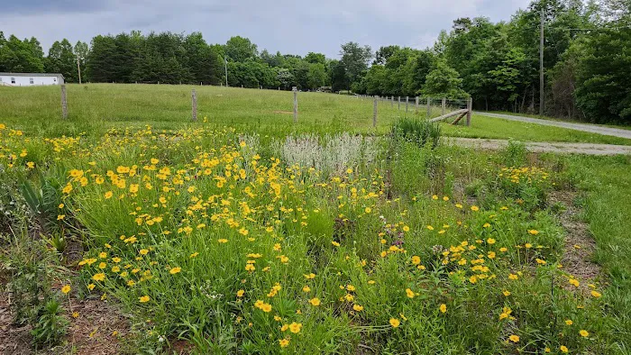 Papa's Farm Picture 5