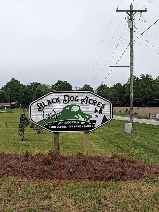 Black Dog Acres RV Park Picture 10