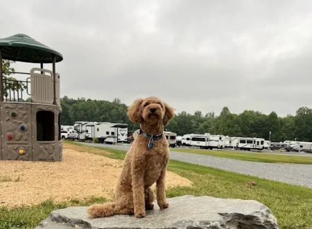 Black Dog Acres RV Park