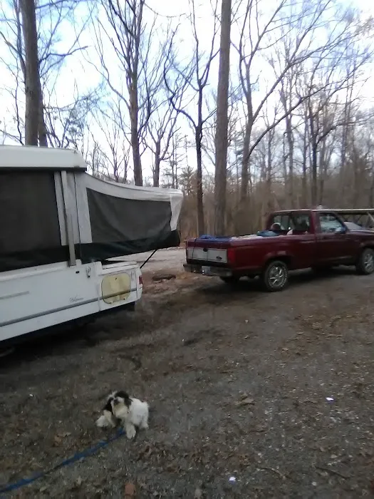 Pop & Moms Campground Picture 6