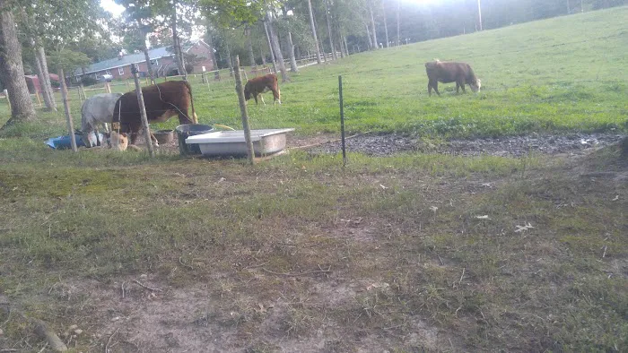 Pop & Moms Campground Picture 5