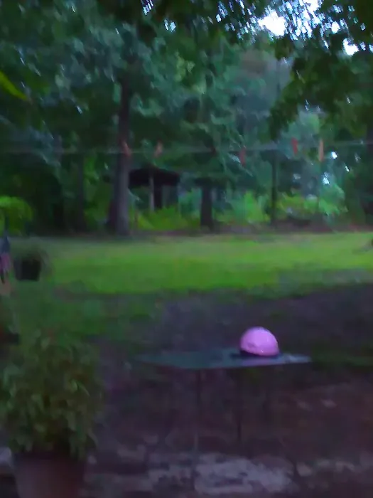 Pop & Moms Campground Picture 4