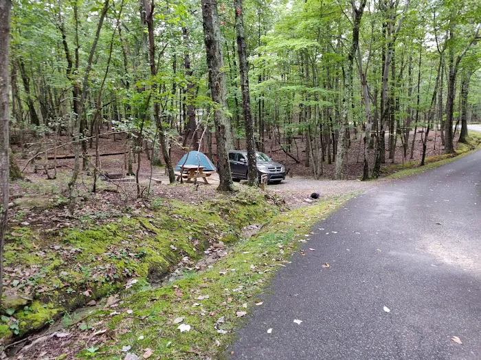 Hanging Rock State Park Campground Picture 1
