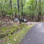 Hanging Rock State Park Campground