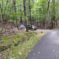 Hanging Rock State Park Campground ico