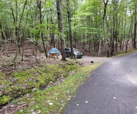Hanging Rock State Park Campground