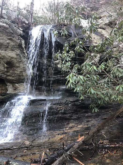 Hanging Rock State Park Campground Picture 8