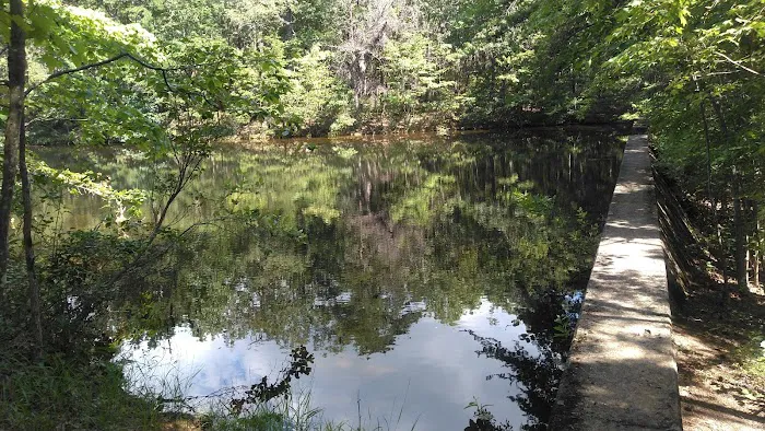 Hanging Rock State Park Campground Picture 10