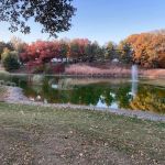 River Oaks RV Park
