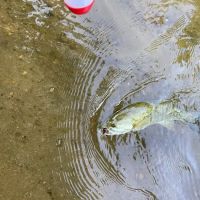 Carls Campsites ico