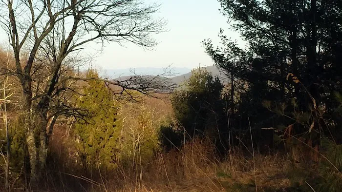 Comers Rock Recreation Area Picture 4