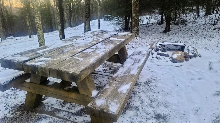 Comers Rock Recreation Area Picture 5
