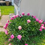 Western Acres Mobile Home Park
