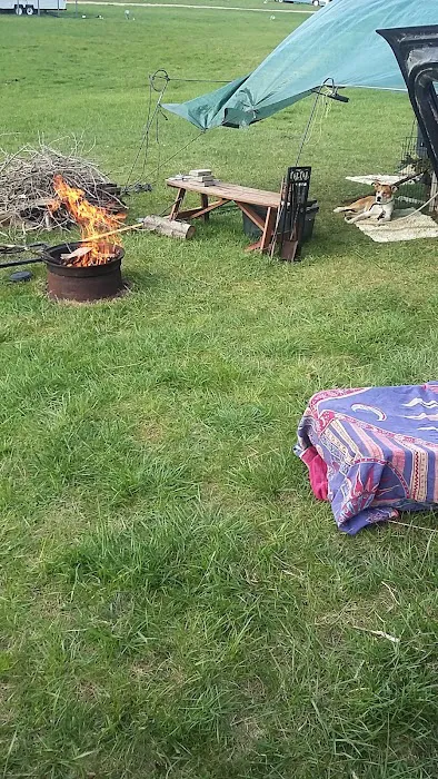 River Views Campground Picture 9