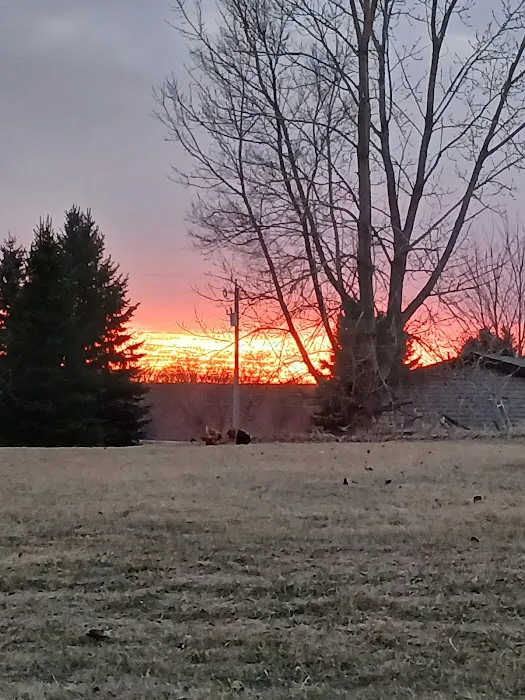Rolling Hills Mobile Home Park Picture 5