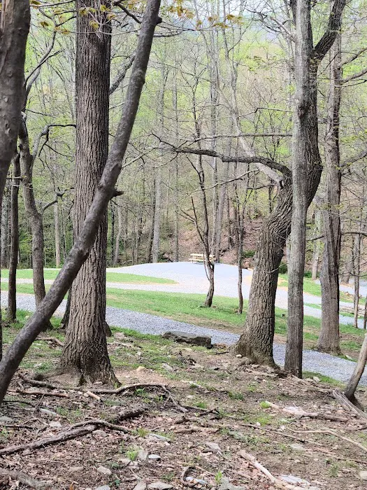 Big Ridge Campground Picture 2