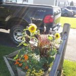 Lazy U Mobile Home Park