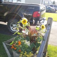 Lazy U Mobile Home Park ico