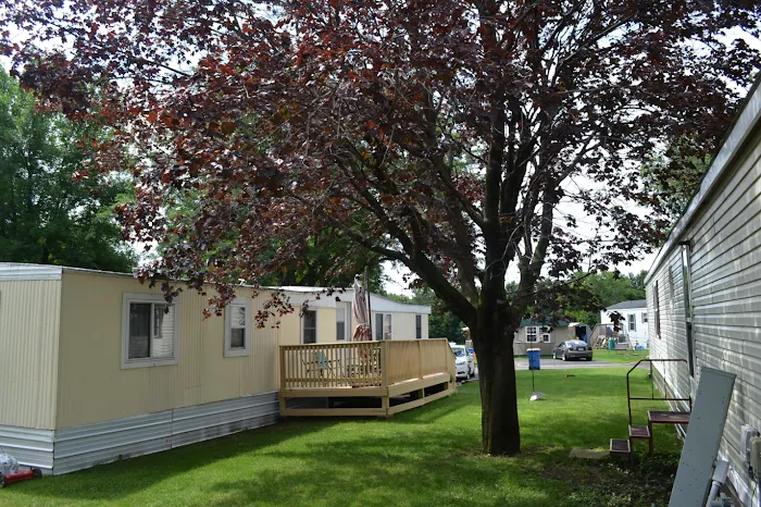 Skyline Gardens Picture 9
