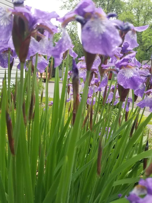 Townsedge Terrace Picture 2