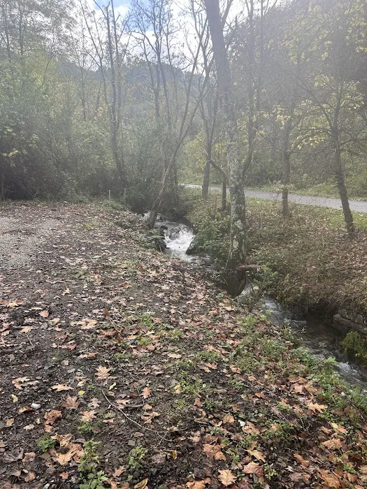 Elkhorn Creek Campground Picture 1