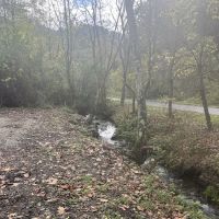 Elkhorn Creek Campground ico