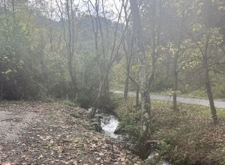 Elkhorn Creek Campground
