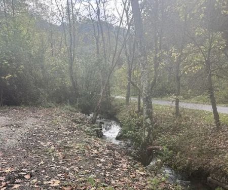Elkhorn Creek Campground