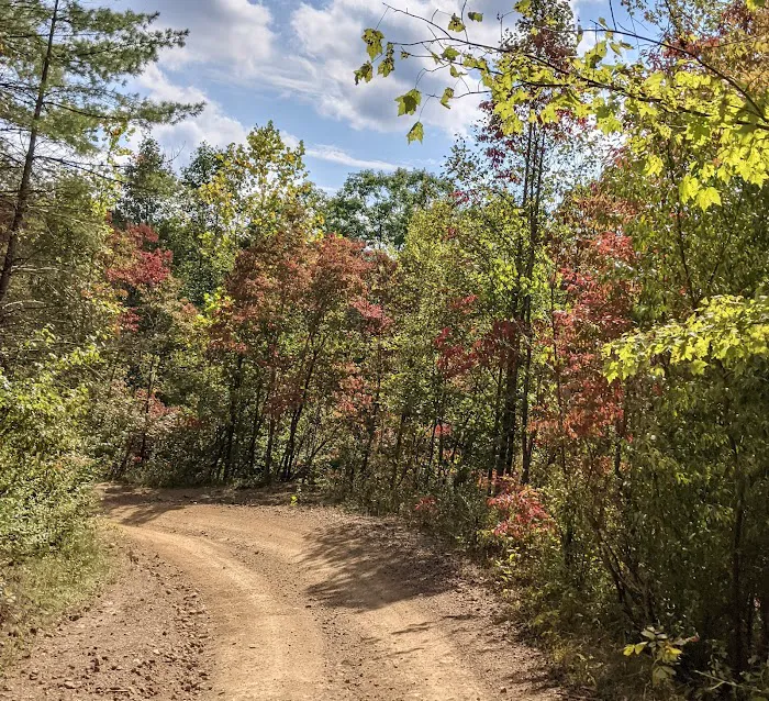 Riverfront ATV Resort Picture 8