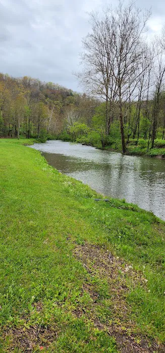 Riverfront ATV Resort Picture 10