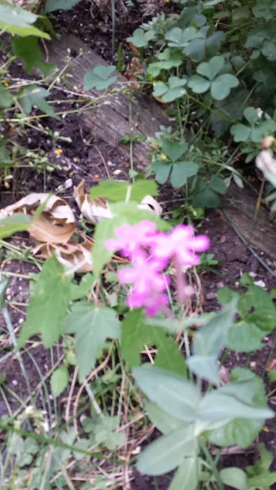 Sunnyside Mobile Home Park Inc Picture 6