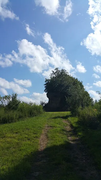 Pocahontas ATV Resort Picture 7