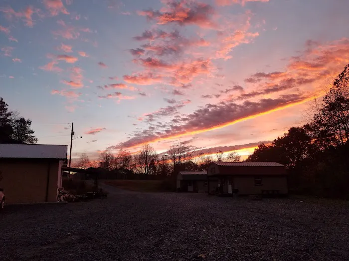 Pocahontas ATV Resort Picture 6
